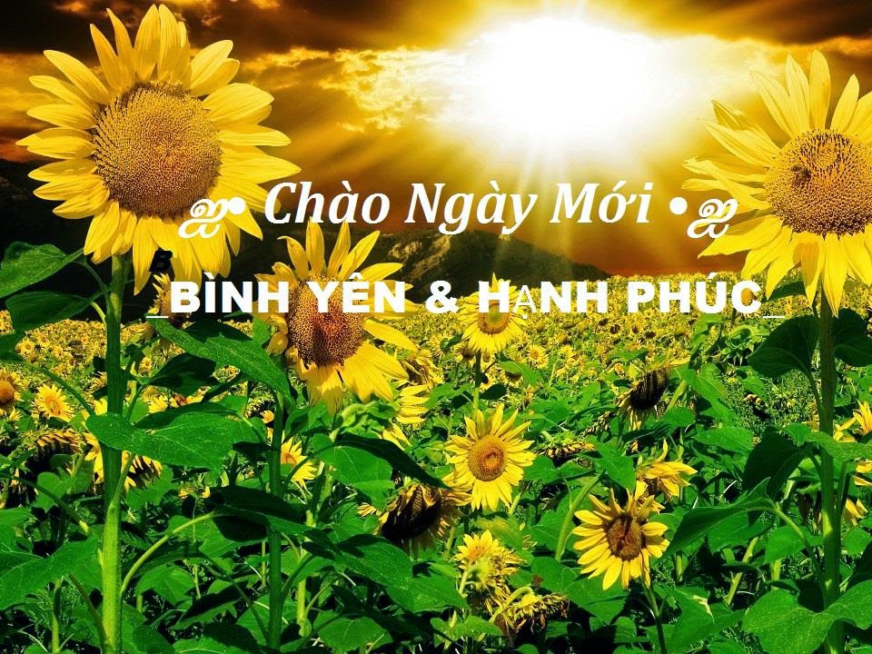 Những lời chúc chào buổi sáng