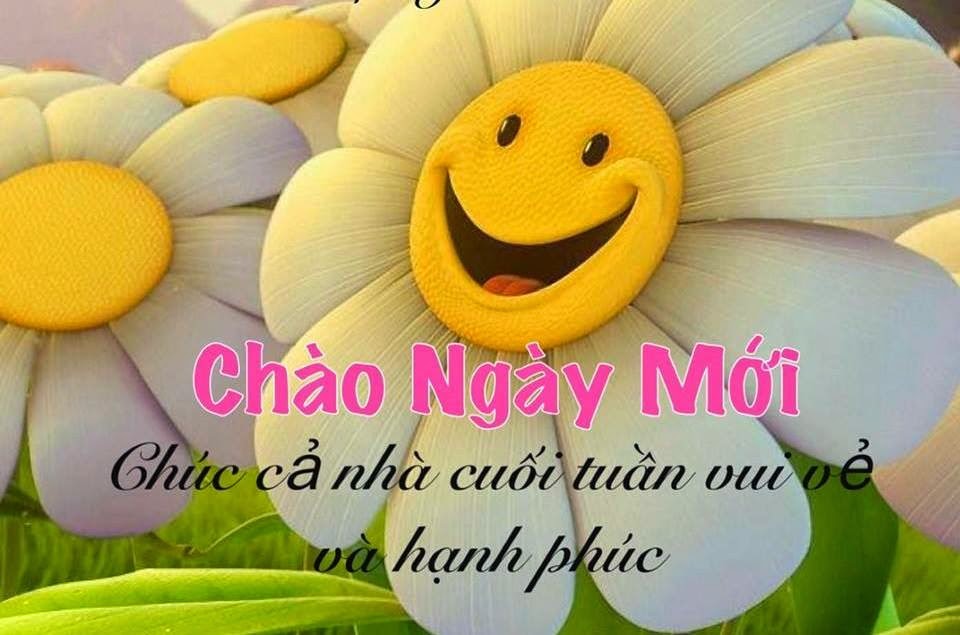 Sms chào buổi sáng dành cho người yêu